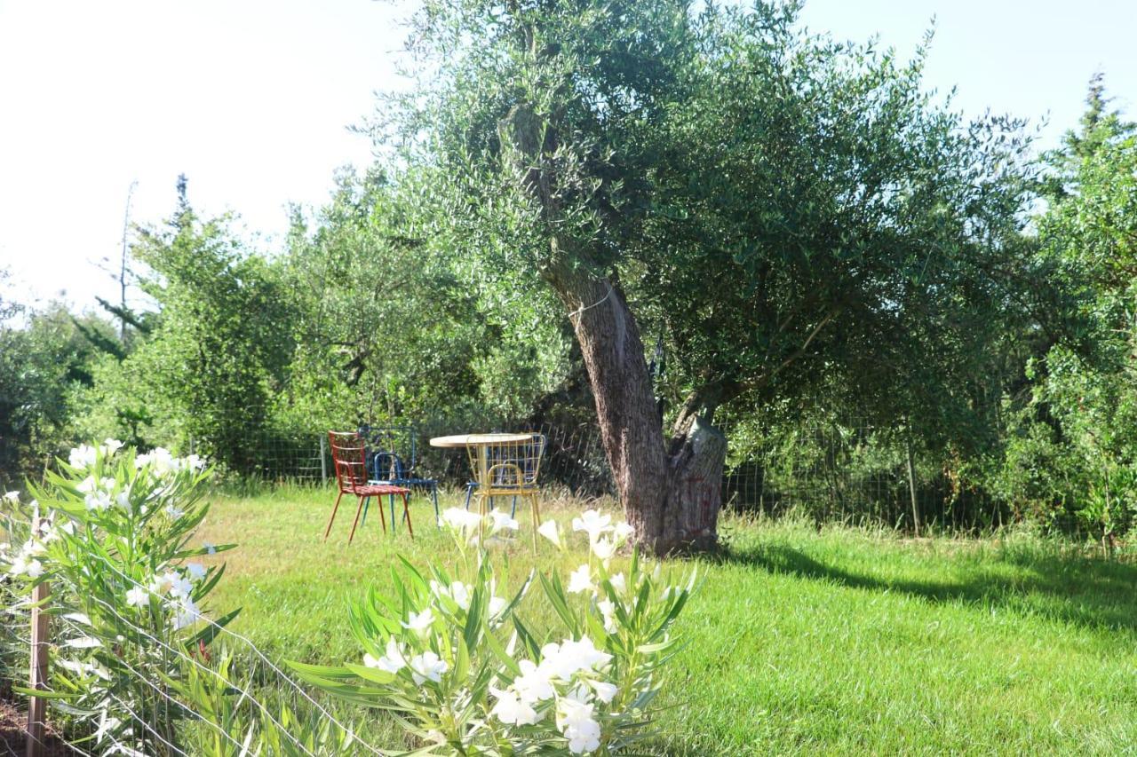 Essos Villas Dhërmi Dış mekan fotoğraf